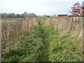 Public footpath to Tarraby Lane