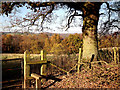 Boarfold Footpath stile