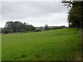 Pasture near Bethania, Ceredigion