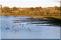 SP9113 : Medieval Ridge and Furrow at Startops Reservoir, Tring by Chris Reynolds
