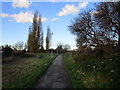 The site of Stoneferry Junction