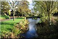 Pond near Lower Farm