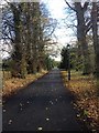 Driveway to Long Birch Farm