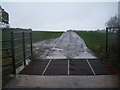 Farm track with cattle grid off the A67