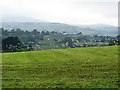 A flock of seagulls in flight over newly manured grassland