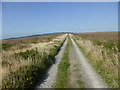 The lane to Garden Mine Cottage