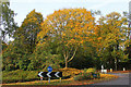 Roundabout in Virginia Water