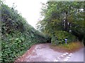 Cottage Lane into Dulverton