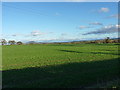 Autumn crops in field near Cantlop