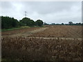 Crop field and hedgerow off the A140