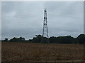 Pylon in potato field