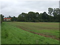 Crop field towards woodland