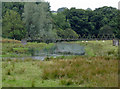 Riverside pasture north-west of Tregaron, Ceredigion