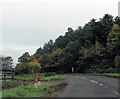 Back entrance to Westwood Farm