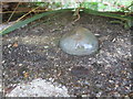 Ordnance Survey Tide Gauge Bench Mark (Bolt)