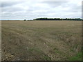 Stubble Field, Boyland Common