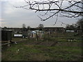 Allotments off Redwongs Way
