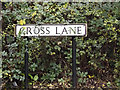 TL1312 : Cross Lane sign by Geographer