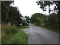 Minor road near Westhouse Cottages