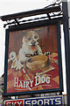 The Hairy Dog on The Avenue, Minehead