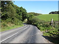 Grove Road running alongside the demesne of Montalto House