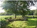 Fence around a grave, Netherexe churchyard