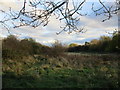 Former allotments alongside Sutton Road