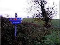 H4480 : Ulster Way sign, Golan by Kenneth  Allen