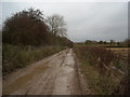 SU0583 : Track towards Park Grounds Farm by Vieve Forward