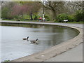 The western end of the boating lake in Platt Fields Park