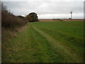 Field beside disused Wilts & Berks Canal