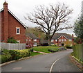 Tree and houses,  Starstile Meadow, Ludlow