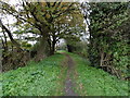 The trackbed of the former Harrow & Stanmore Railway