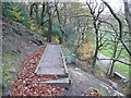 Board-walk on the footpath to Thongsbridge