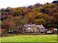 Autumn view of "The Cricket Inn". Totley