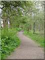 Footpath on the edge of Birchfields Park