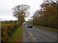 NO6142 : Forfar Road leaves Arbroath by Richard Webb