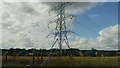 Electrical sub-station & pylon