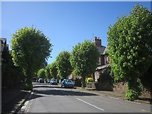SX9063 : Walnut Road, Chelston by Derek Harper