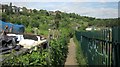 Path through Ashley Vale allotments