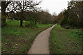 Path in Farnham Park