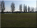 Staines Rugby Club