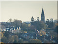 St Mary Magdalene Church as seen from near Williams Wood, Trent Park, Enfield