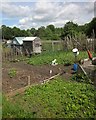 Ashley Vale allotments