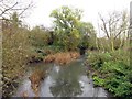 The River Thame from Hayward Bridge