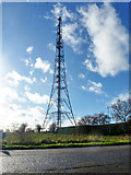 TL3836 : Radio mast, Barkway by Robin Webster