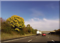 M5 at junction 23