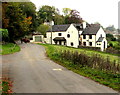 Lower Littleworth houses