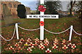 Crediton : Holy Cross Church