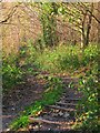 Footpath, Whitehawk Hill